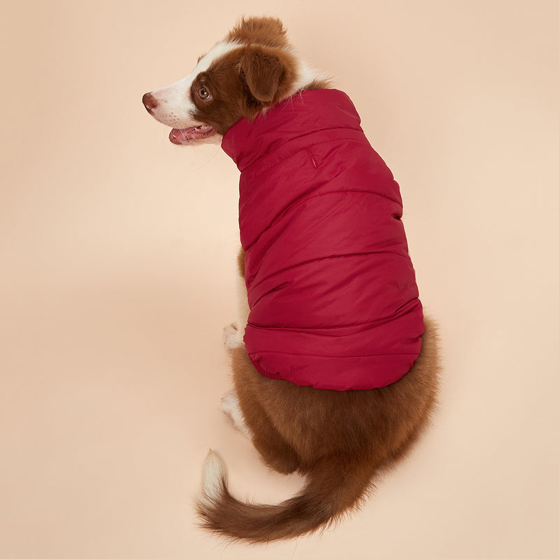 Casaco de Inverno para Cães de Cor Sólida, Acolchoado e Espesso, Jaqueta Confortável e Macia para Cães, Ideal para Clima Frio