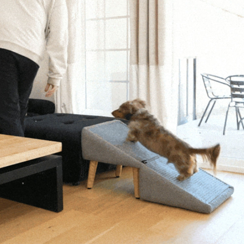 Rampa e Escada Pet Dobrável – Para Cães de Pequeno e Médio Porte | Altura de 38,1cm | Inclinação Segura de 17,7° | Feita em Madeira Reciclada, com Base Antiderrapante