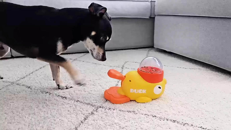 Brinquedo Interativo Dispensador de Petiscos para Cães com Botão – Comedouro Lento e Quebra-Cabeça, Design em Forma de Pato, Estimula Alimentação Saudável e Desenvolvimento Mental, Plástico Resistente.