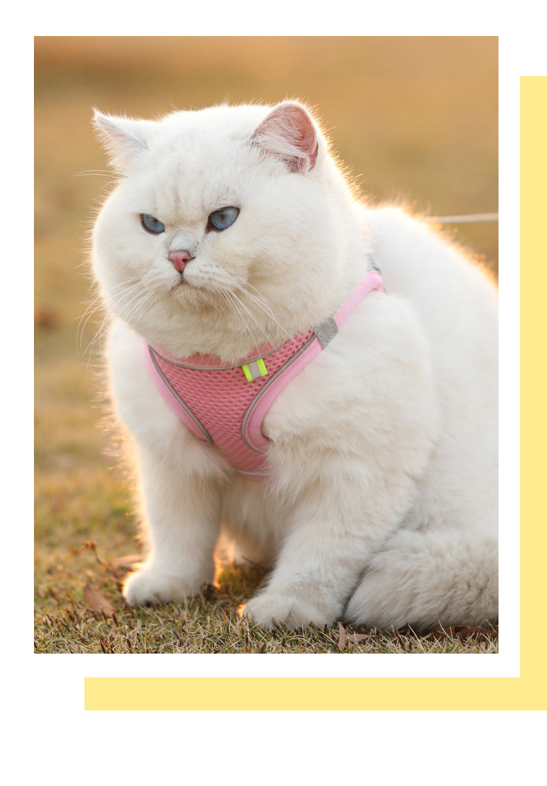 Colete Peitoral com Guia para Gatos e Cães – Conjunto de Peitoral Reflexivo, Respirável e Ajustável para Cães de Pequeno e Médio Porte, Ideal para Passeios ao Ar Livre.
