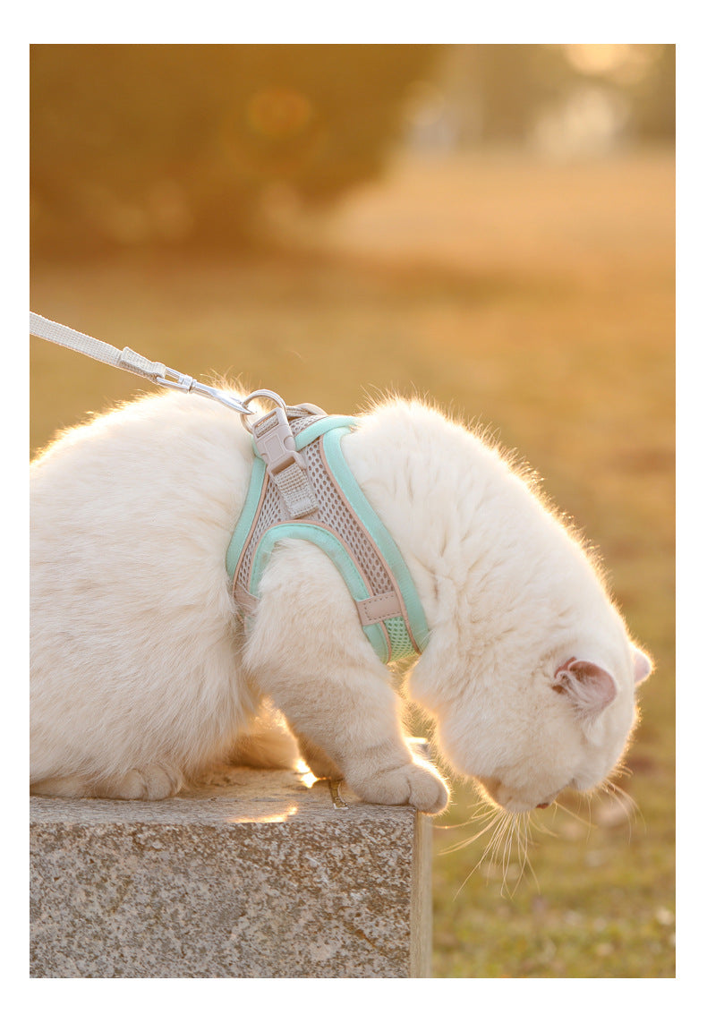 Colete Peitoral com Guia para Gatos e Cães – Conjunto de Peitoral Reflexivo, Respirável e Ajustável para Cães de Pequeno e Médio Porte, Ideal para Passeios ao Ar Livre.