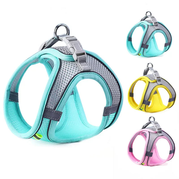 Colete Peitoral com Guia para Gatos e Cães – Conjunto de Peitoral Reflexivo, Respirável e Ajustável para Cães de Pequeno e Médio Porte, Ideal para Passeios ao Ar Livre.