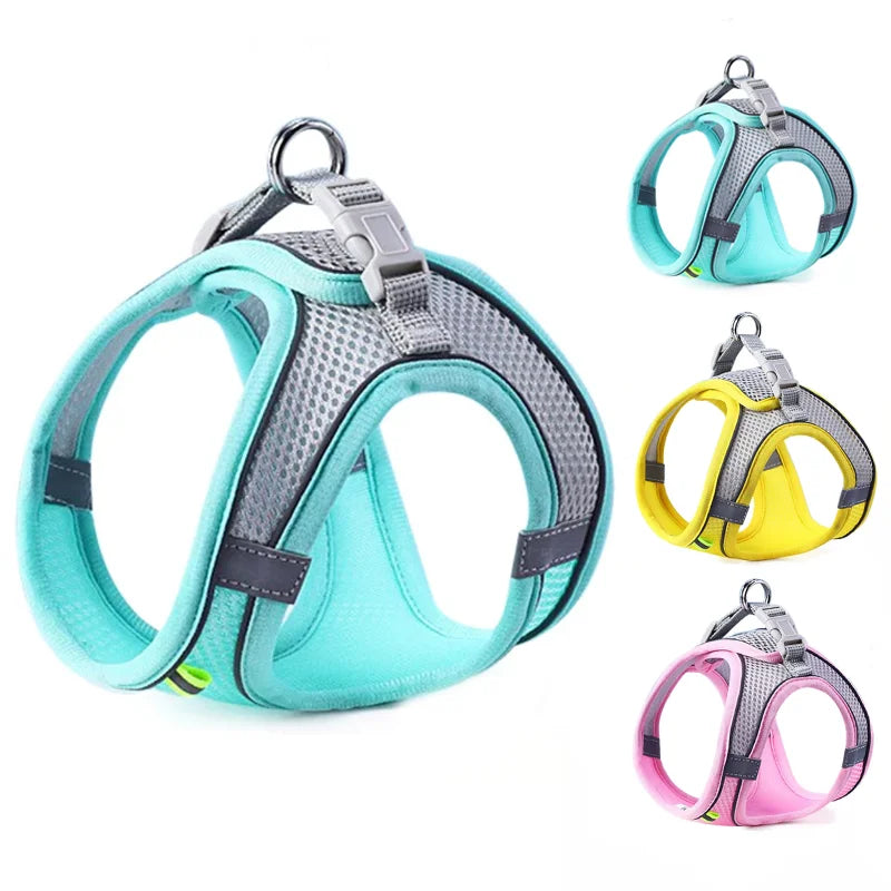 Colete Peitoral com Guia para Gatos e Cães – Conjunto de Peitoral Reflexivo, Respirável e Ajustável para Cães de Pequeno e Médio Porte, Ideal para Passeios ao Ar Livre.