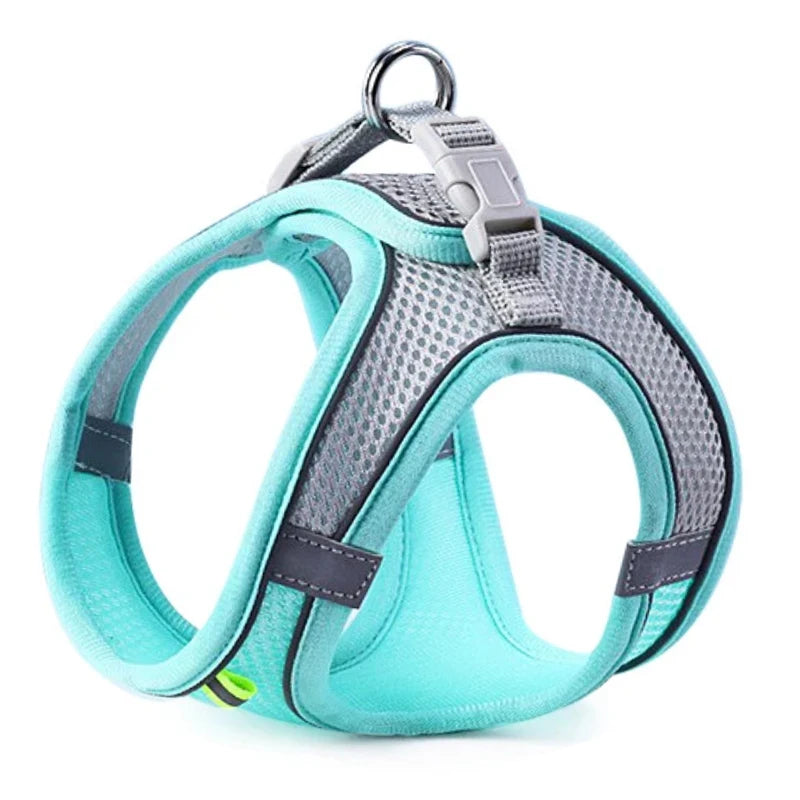 Colete Peitoral com Guia para Gatos e Cães – Conjunto de Peitoral Reflexivo, Respirável e Ajustável para Cães de Pequeno e Médio Porte, Ideal para Passeios ao Ar Livre.
