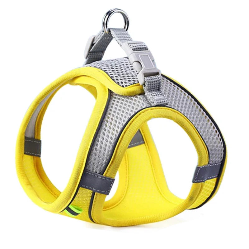 Colete Peitoral com Guia para Gatos e Cães – Conjunto de Peitoral Reflexivo, Respirável e Ajustável para Cães de Pequeno e Médio Porte, Ideal para Passeios ao Ar Livre.