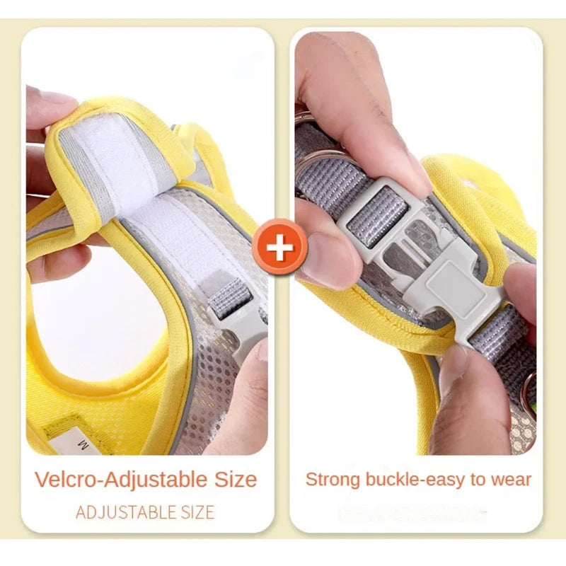 Colete Peitoral com Guia para Gatos e Cães – Conjunto de Peitoral Reflexivo, Respirável e Ajustável para Cães de Pequeno e Médio Porte, Ideal para Passeios ao Ar Livre.