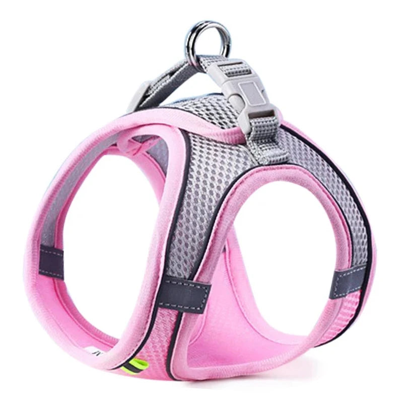 Colete Peitoral com Guia para Gatos e Cães – Conjunto de Peitoral Reflexivo, Respirável e Ajustável para Cães de Pequeno e Médio Porte, Ideal para Passeios ao Ar Livre.