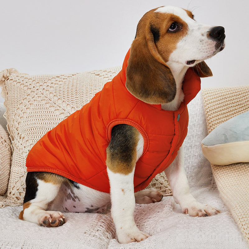 Casaco de Inverno para Cães de Cor Sólida, Acolchoado e Espesso, Jaqueta Confortável e Macia para Cães, Ideal para Clima Frio