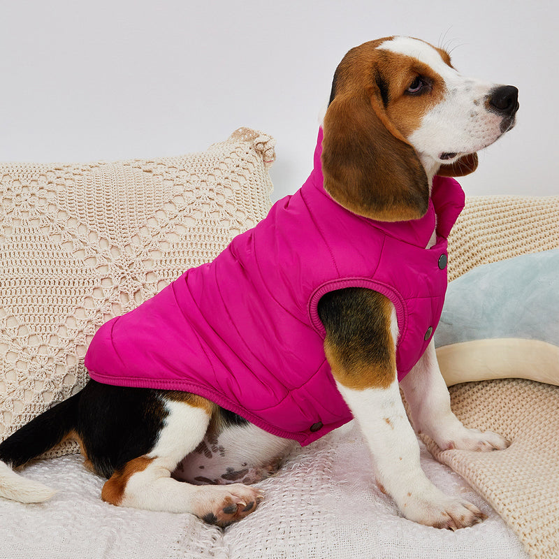 Casaco de Inverno para Cães de Cor Sólida, Acolchoado e Espesso, Jaqueta Confortável e Macia para Cães, Ideal para Clima Frio